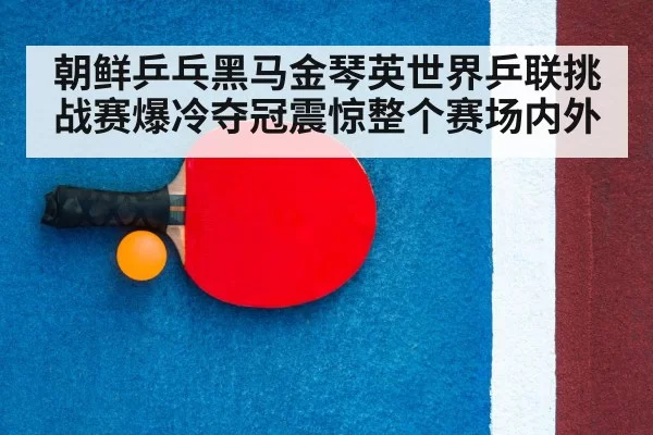 table tennis racket