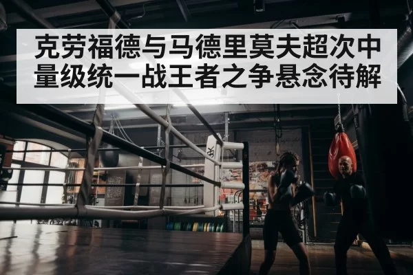 boxer training